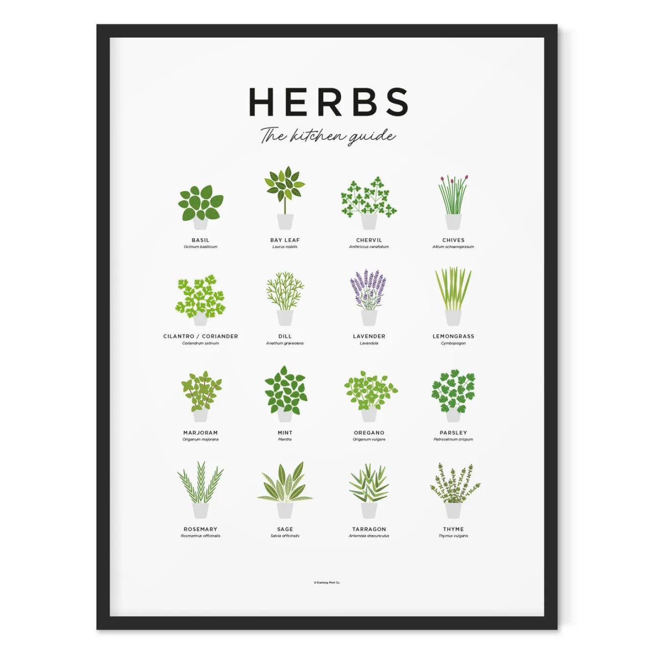 Everlong Print Co. Art-Herbs Guide Print - Framed