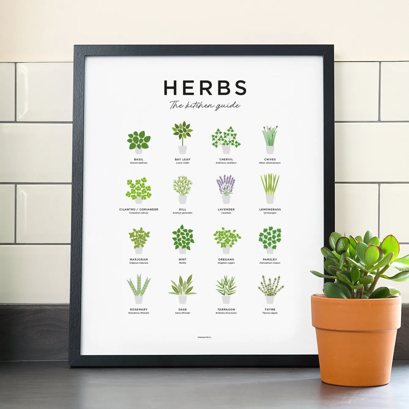 Everlong Print Co. Art-Herbs Guide Print - Framed
