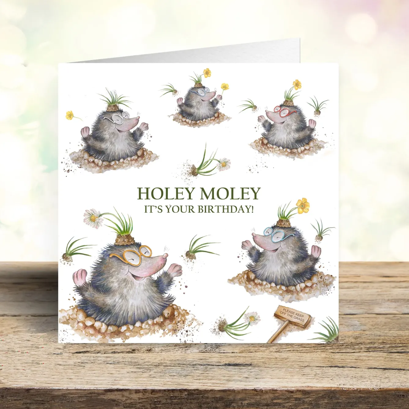 West Country Designs Greeting Cards-'Holey Moley' Cheeky Mole Birthday Card