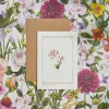 Catherine Lewis Greeting Cards-Honeysuckle - 'Botanical Archive: Everyday Edition' - card