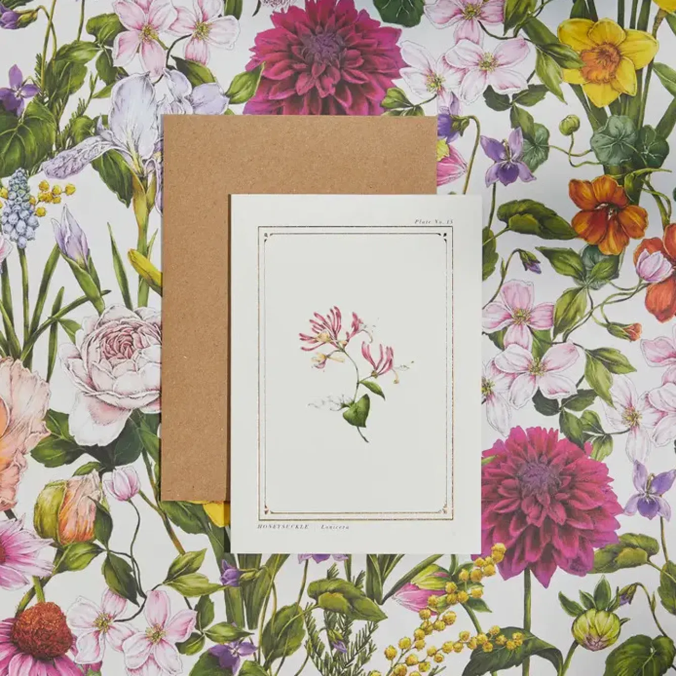 Catherine Lewis Greeting Cards-Honeysuckle - 'Botanical Archive: Everyday Edition' - card