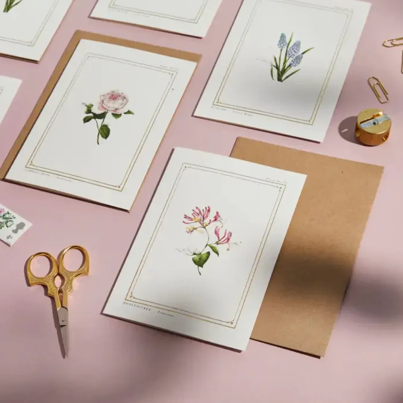 Catherine Lewis Greeting Cards-Honeysuckle - 'Botanical Archive: Everyday Edition' - card