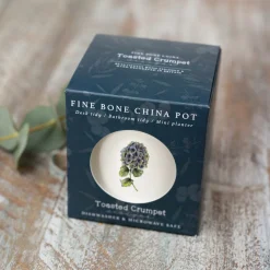 Toasted Crumpet Flowers & Garden-Hydrangea Bone China Pot