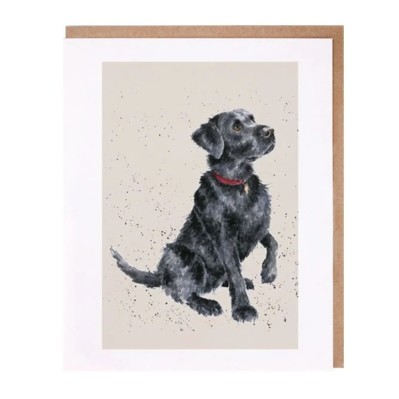 Wrendale Designs Greeting Cards|Children-'Jack' Black Labrador Greetings Card