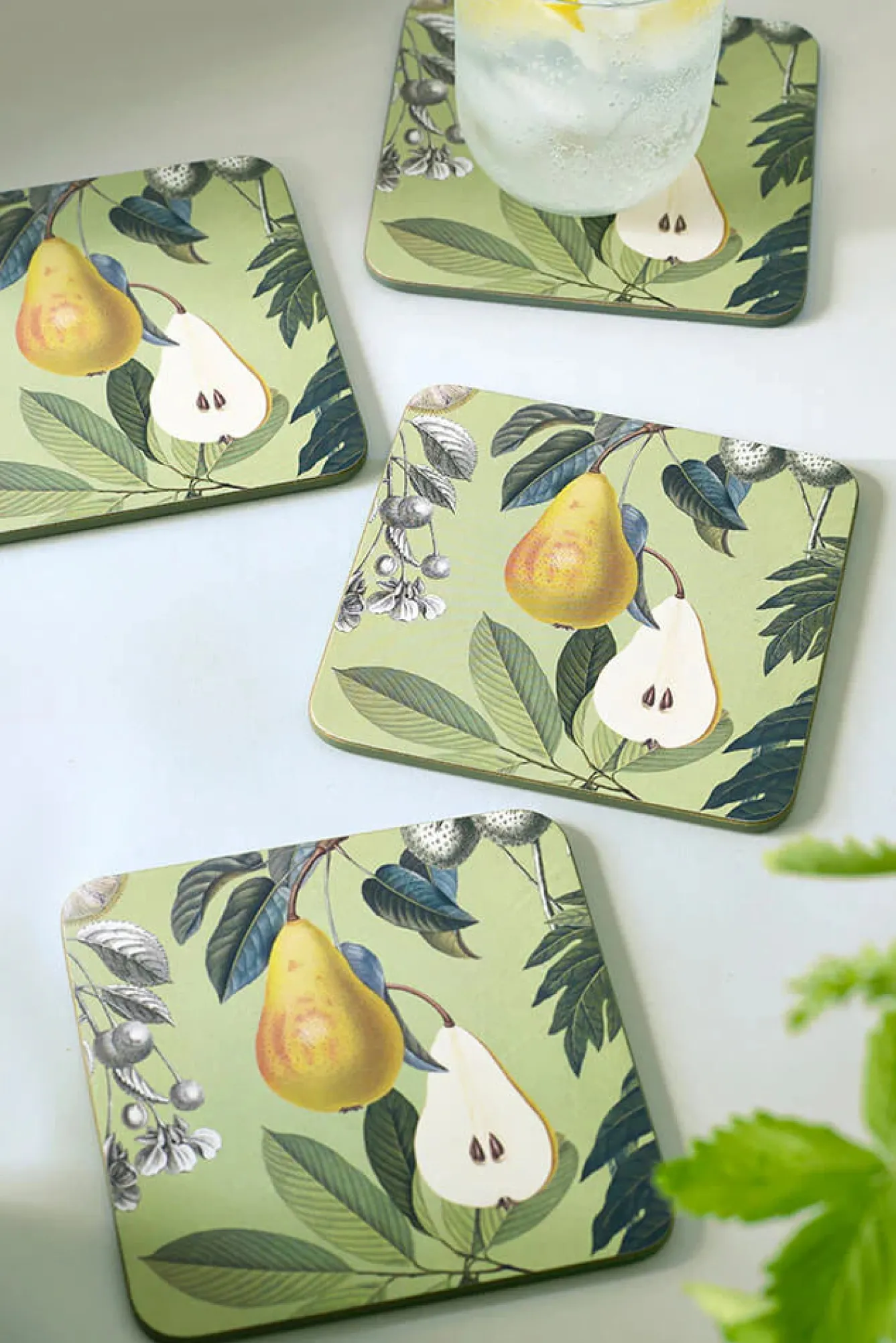 Kew Gardens Coasters-Fruit and Floral Coasters (Set of 4)