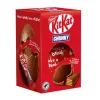 Easter Eggs Easter-KitKat Chunky Small Easter Egg 110g