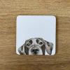 Katherine Sheard Designs Coasters-Lenny Labrador Coaster