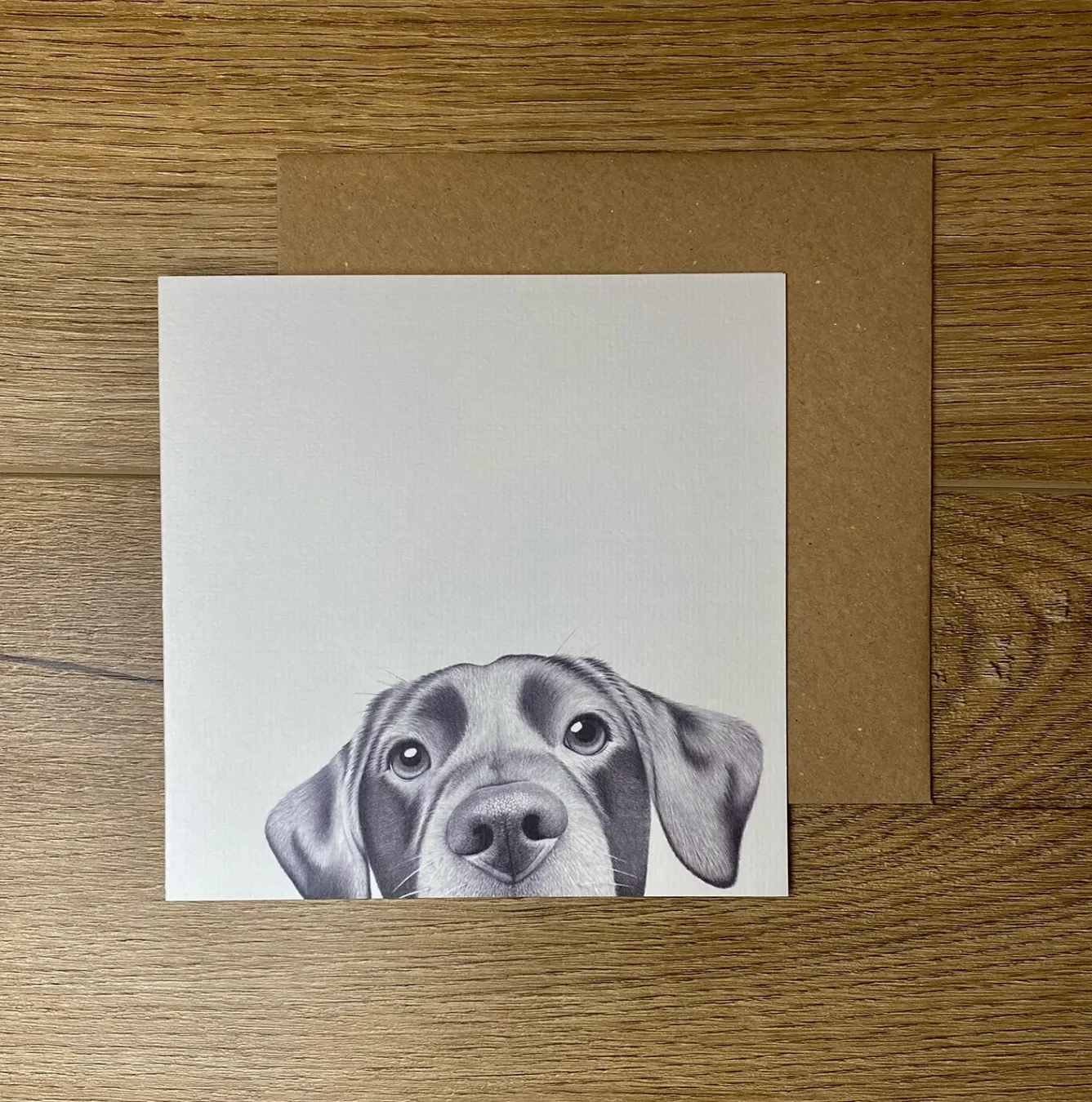 Katherine Sheard Designs Greeting Cards-Lenny Labrador Greetings Card