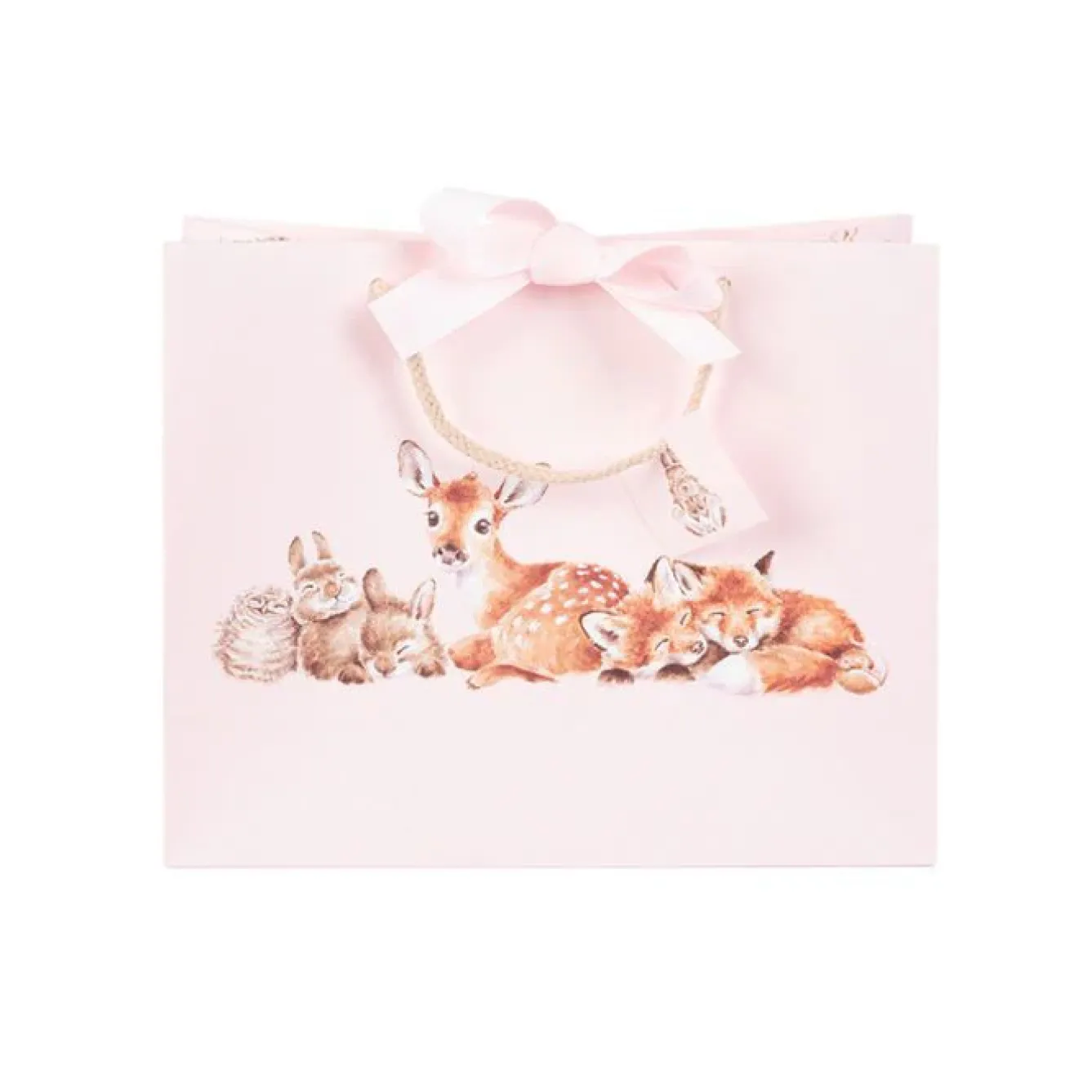 Wrendale Designs Stationery|Children-'Little Forest' Woodland Animal Gift Bag