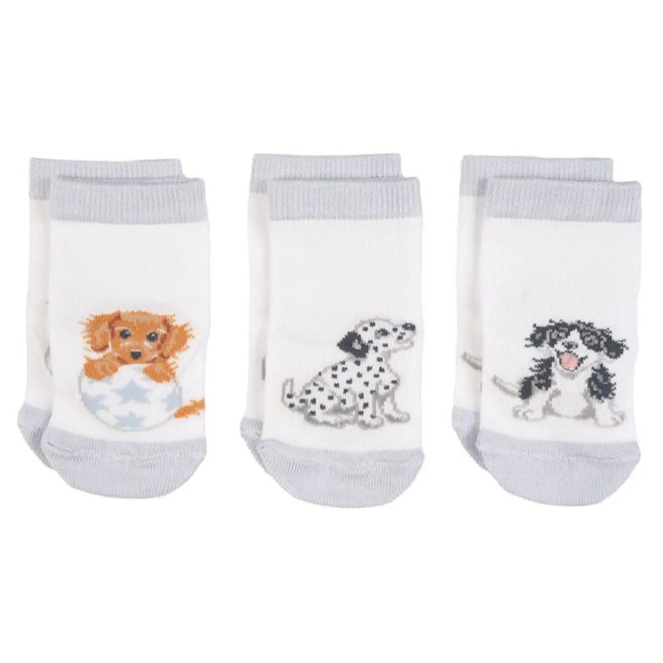 Wrendale Designs Children-'Little Paws' Dog Baby Socks Set