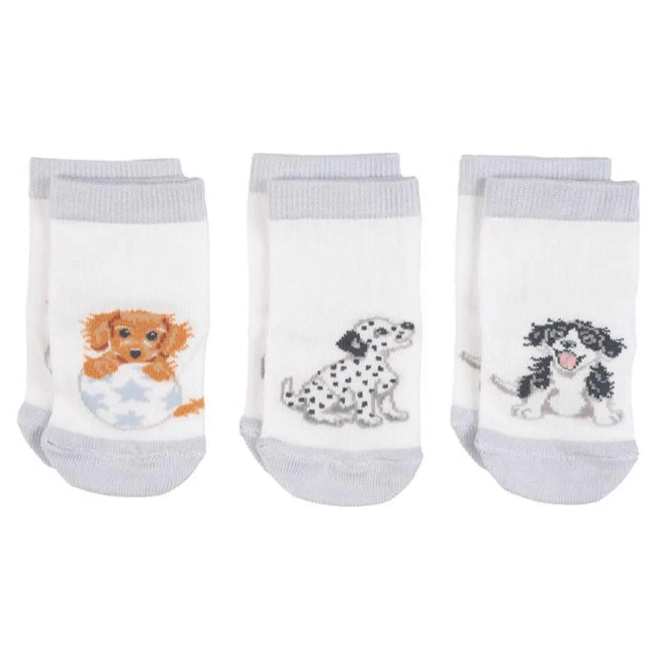 Wrendale Designs Children-'Little Paws' Dog Baby Socks Set
