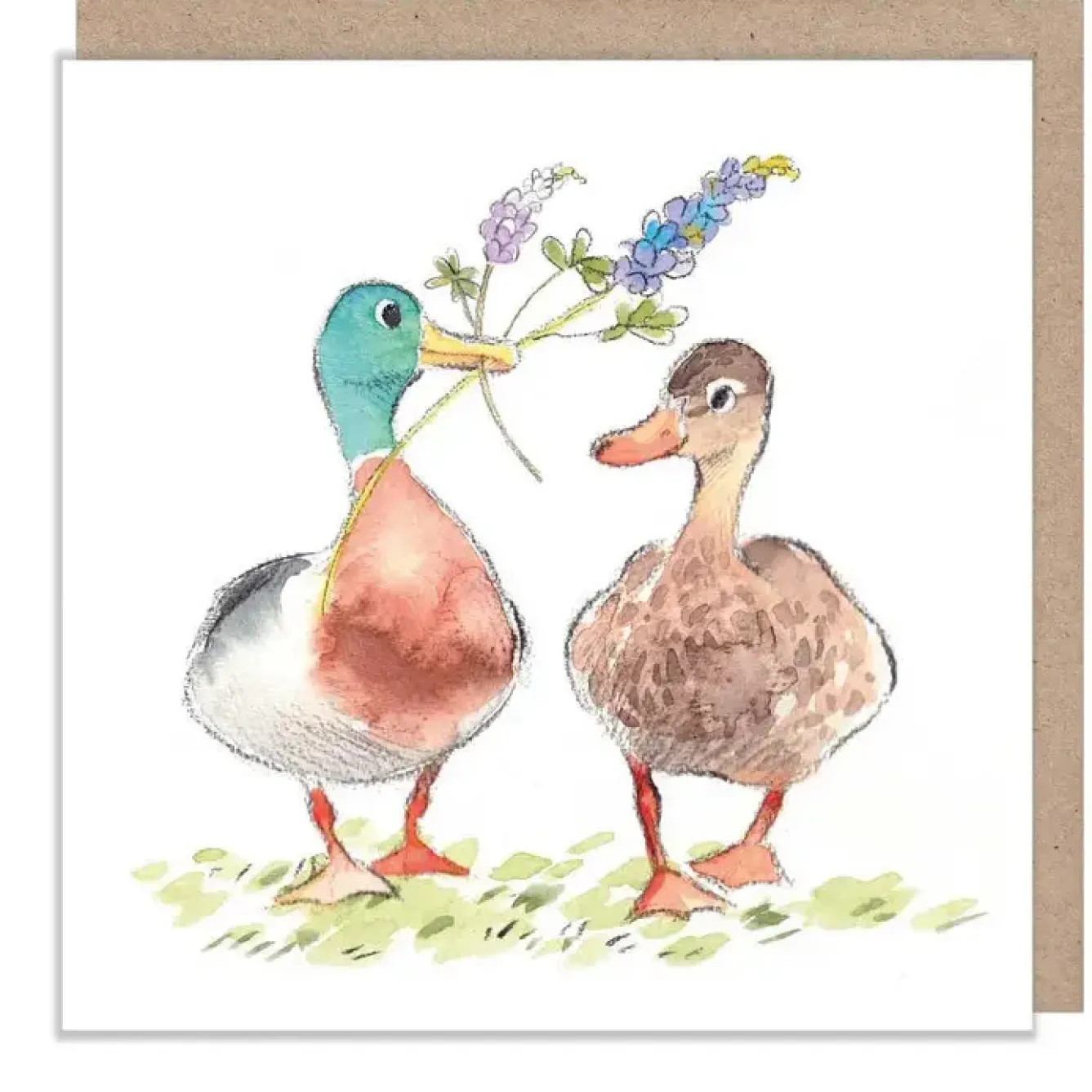 Paper Shed Design Greeting Cards-Mallards Greetings Card