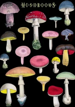 Madame Treacle Greeting Cards-Many Mushrooms Greetings Card
