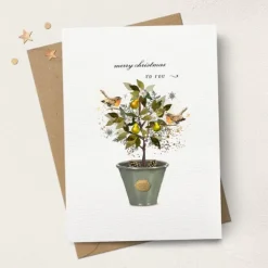 Stephanie Davies Greeting Cards-Merry Christmas to You Plant Pot Greeting Card
