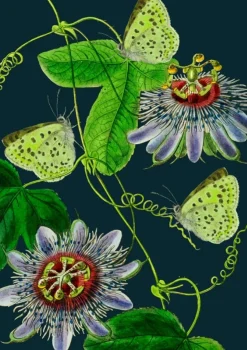 Madame Treacle Greeting Cards-Midnight Passion Flower Card