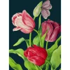Madame Treacle Greeting Cards-Midnight Tulips Card