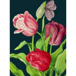 Madame Treacle Greeting Cards-Midnight Tulips Card