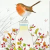 Emma Ball Christmas Cards|Christmas-Milk Bottle Robin pack of 6 Christmas Cards