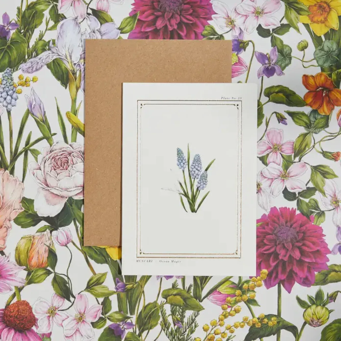 Catherine Lewis Greeting Cards-Muscari - 'Botanical Archive: Everyday Edition' - card
