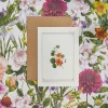 Catherine Lewis Greeting Cards-Nasturtium - 'Botanical Archive: Everyday Edition' - card