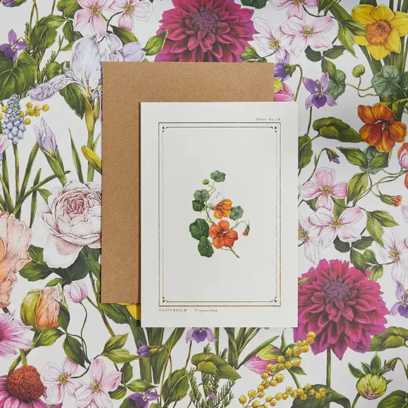 Catherine Lewis Greeting Cards-Nasturtium - 'Botanical Archive: Everyday Edition' - card