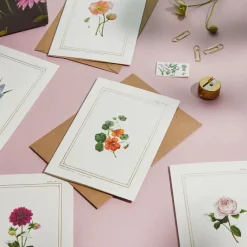 Catherine Lewis Greeting Cards-Nasturtium - 'Botanical Archive: Everyday Edition' - card