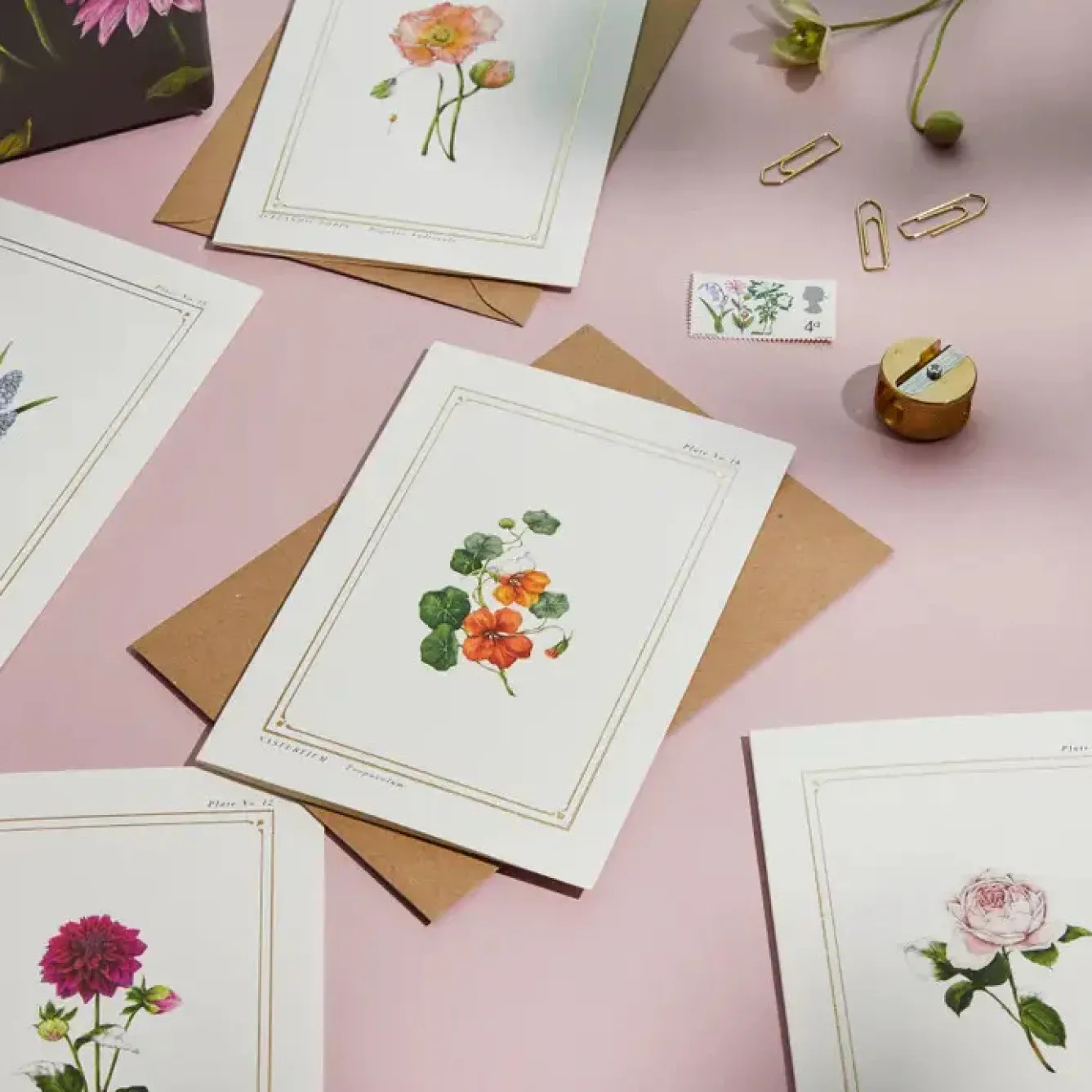 Catherine Lewis Greeting Cards-Nasturtium - 'Botanical Archive: Everyday Edition' - card