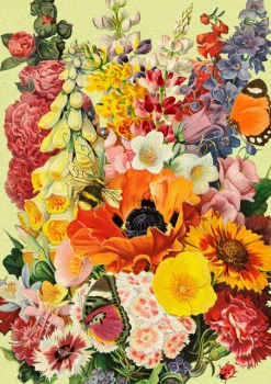 Madame Treacle Greeting Cards-Next to the Potting Shed Greetings Card