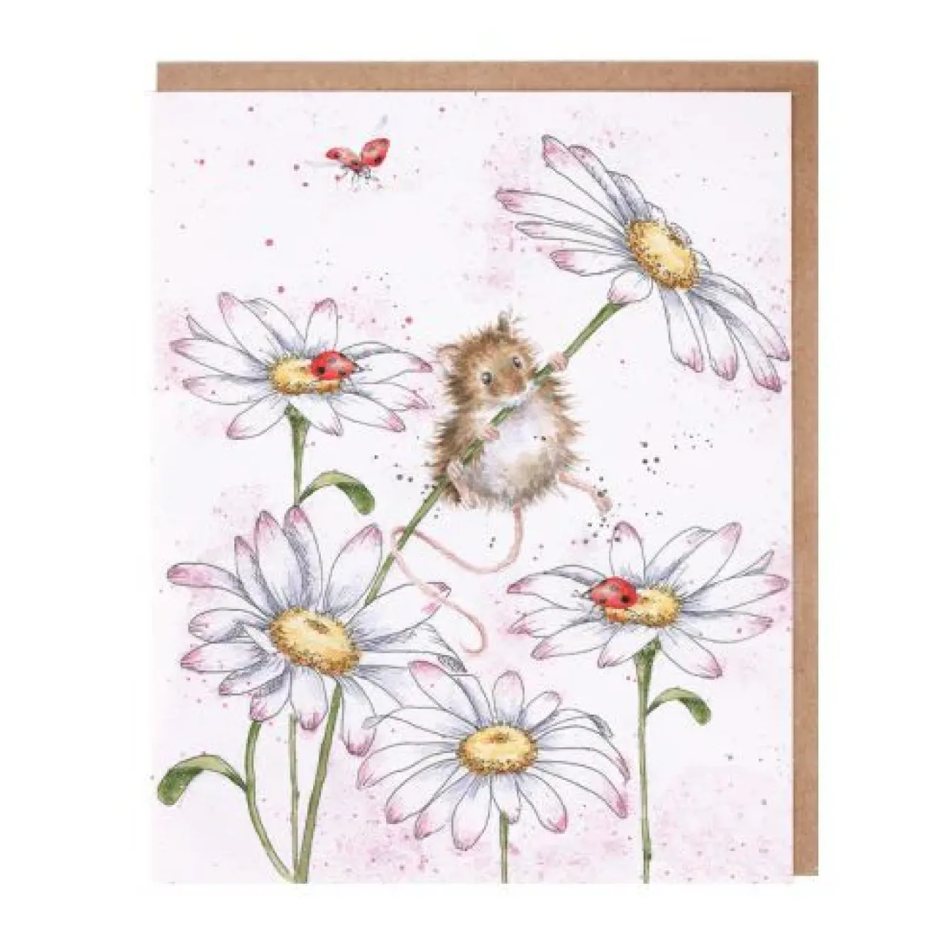 Wrendale Designs Greeting Cards-'Oops a Daisy' Greetings Card