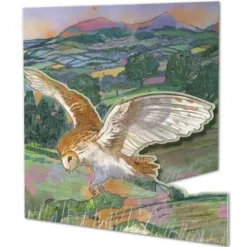 Emma Ball Greeting Cards-Owl Die-Cut Greetings Card