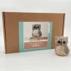 Bergin & Bath Crafts-Owl Needle Felting Kit