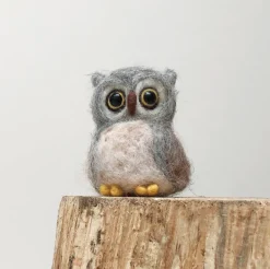 Bergin & Bath Crafts-Owl Needle Felting Kit