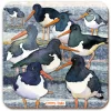 Emma Ball Tea|Coasters-Oystercatchers Coaster