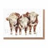 Wrendale Designs Greeting Cards-'Paddy, Percy and Pedro' Cows Greetings Card