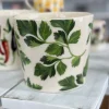 Emma Bridgewater Kitchenware-Parsley Plant Pot