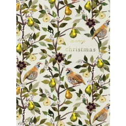Stephanie Davies Greeting Cards-Partridge in a Pear Tree Greeting Card