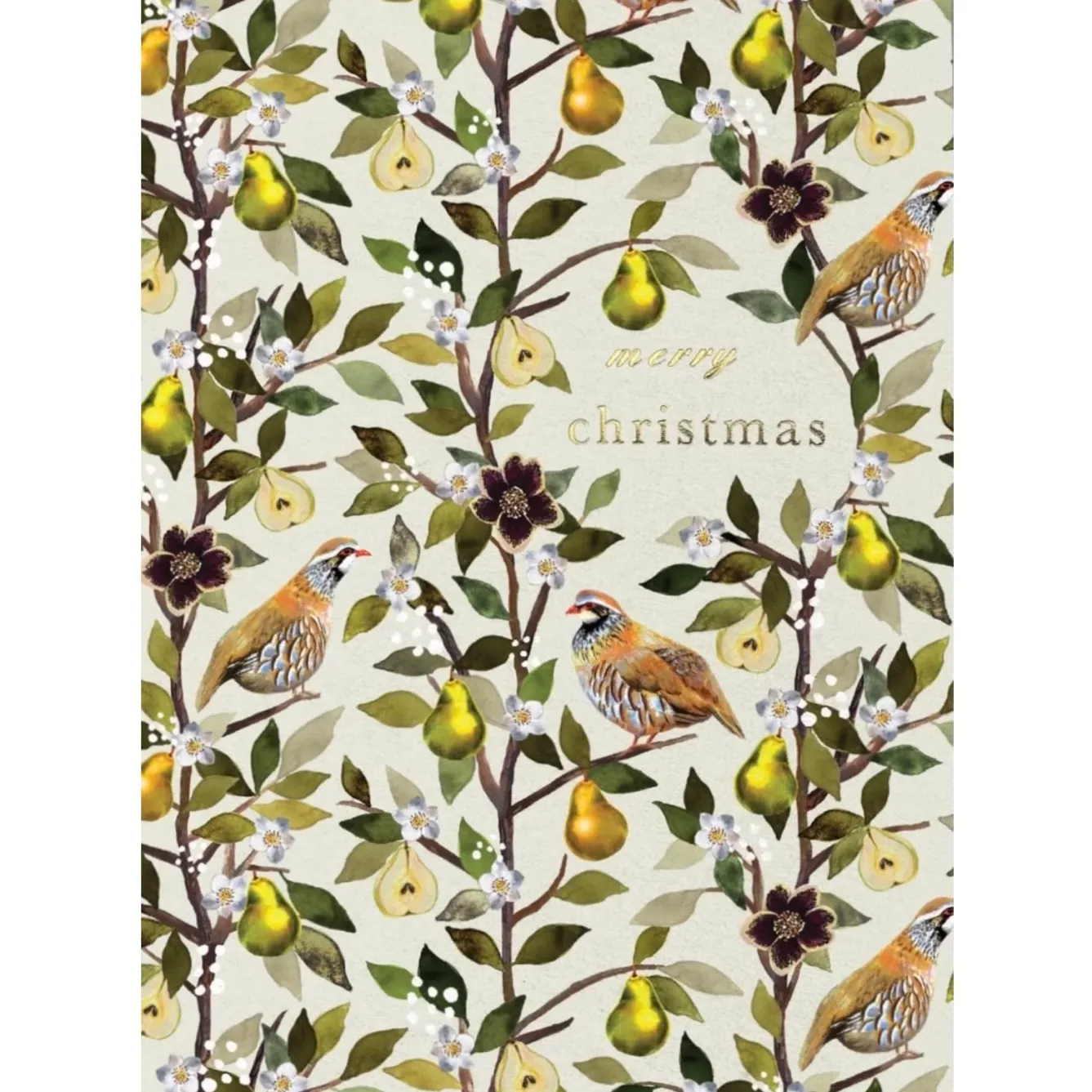 Stephanie Davies Greeting Cards-Partridge in a Pear Tree Greeting Card