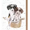 Wrendale Designs Greeting Cards-'Paws and Pedals' Dog Greetings Card