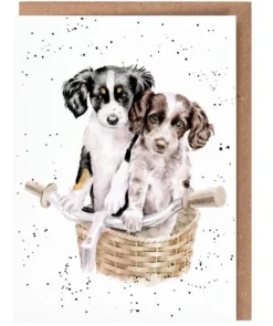 Wrendale Designs Greeting Cards-'Paws and Pedals' Dog Greetings Card