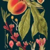 Madame Treacle Greeting Cards-Peach Greetings Card