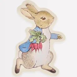 Meri Meri Easter|Novelty-Peter Rabbit Reusable Plate