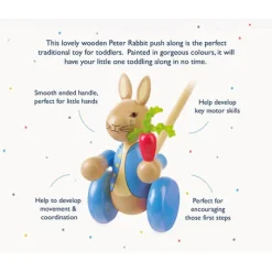 Orange Tree Toys Children-Peter Rabbit™ Wooden Push Along Toy