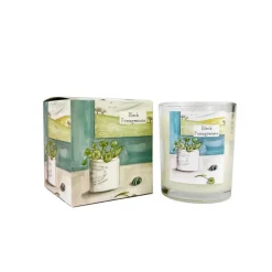 Heaven Scent Home Fragrance-Pot Plant- Black Pomegranate Glass Candle