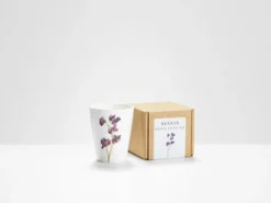 Helen Beard Flowers & Garden-Purple Sweet Pea Beaker