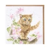 Wrendale Designs Greeting Cards-"Marmalade Cat" Greetings Card