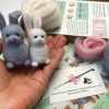 Bergin & Bath Crafts-Rabbits Needle Felting Kit