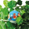 Emma Ball Christmas Decorations|Christmas-Robin Hand-painted Glass Bauble