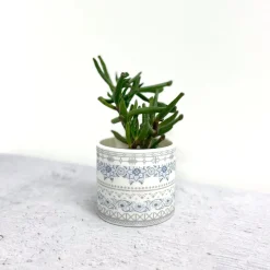 Alex Allday Tea|Home Fragrance-Safflower Ceramic Tea Light Holder