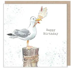 Paper Shed Design Greeting Cards-Seagull "Happy Birthday" Greetings Card