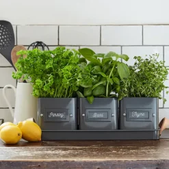 Burgon & Ball Gardening|Gardening-Set of 3 Herb Pots in a Leather Handled Tray - Grey